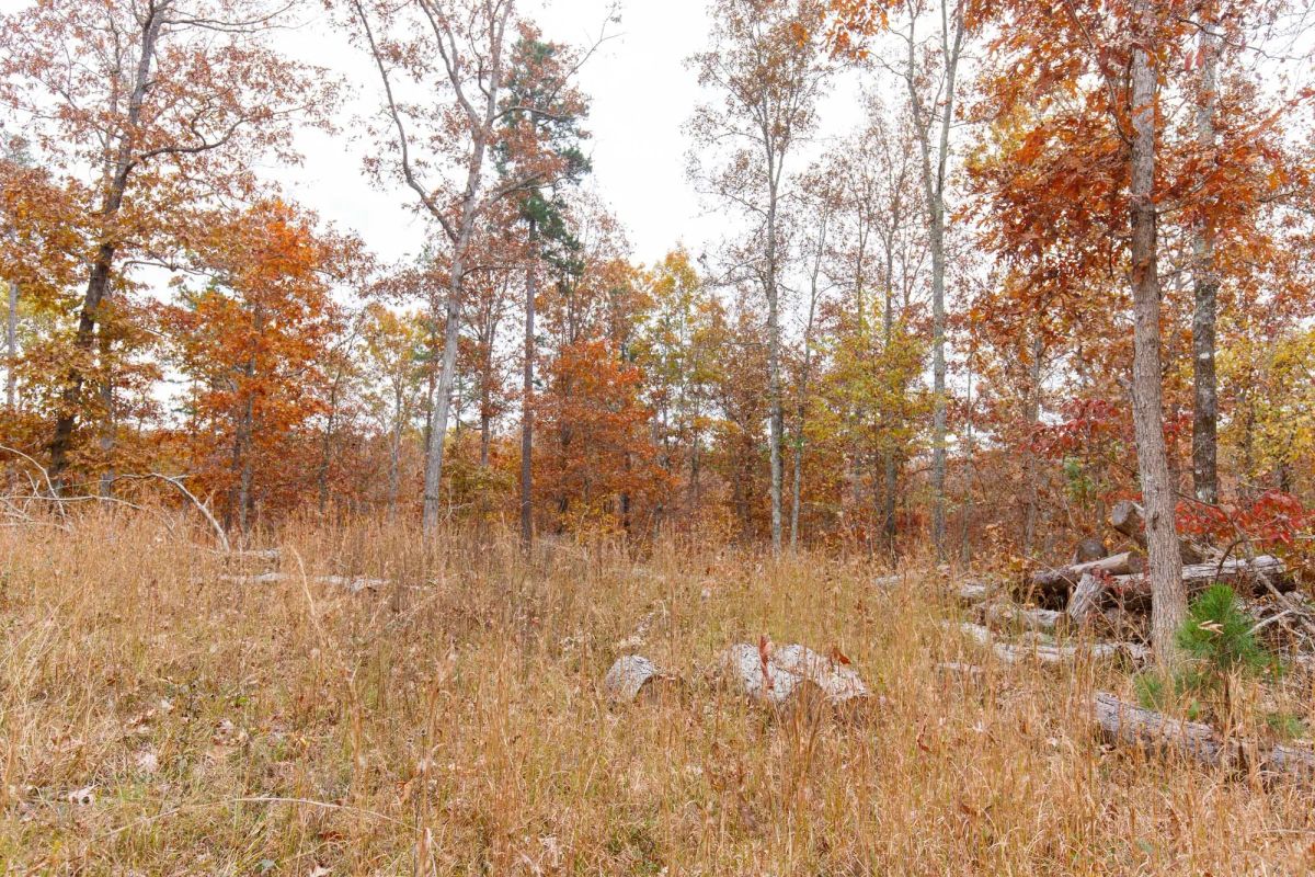 Decorative background for Hawkcrest Tract 19 image 10