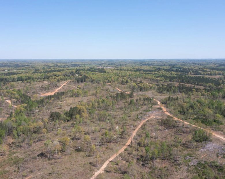 Twin Rivers Tract 25 in Henderson County, TN