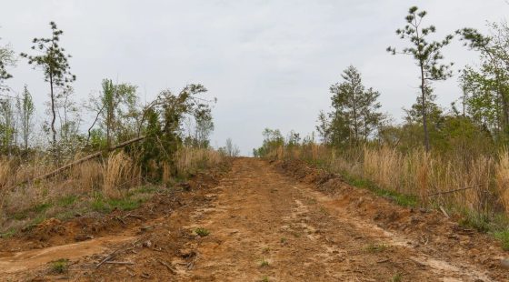 Twin Rivers Tract 25 in Henderson County, TN