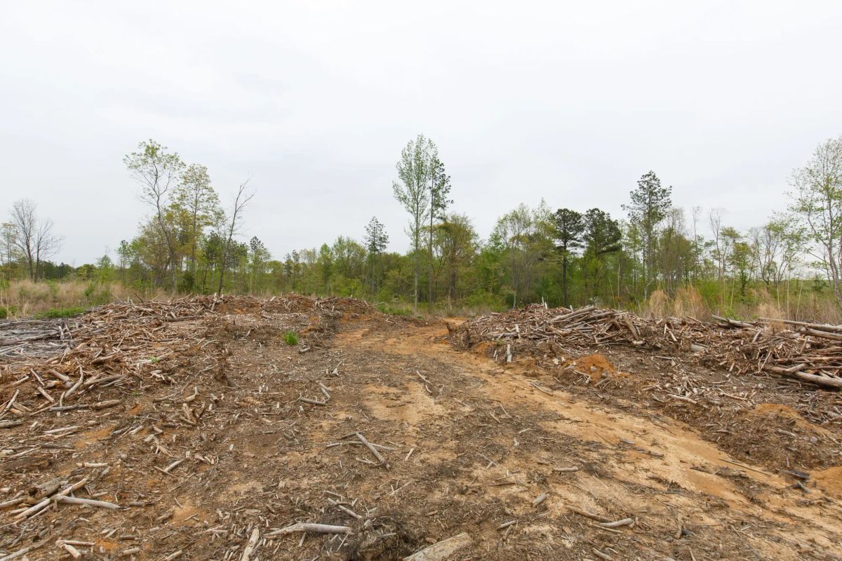 Decorative background for Twin Rivers Tract 25 image 8