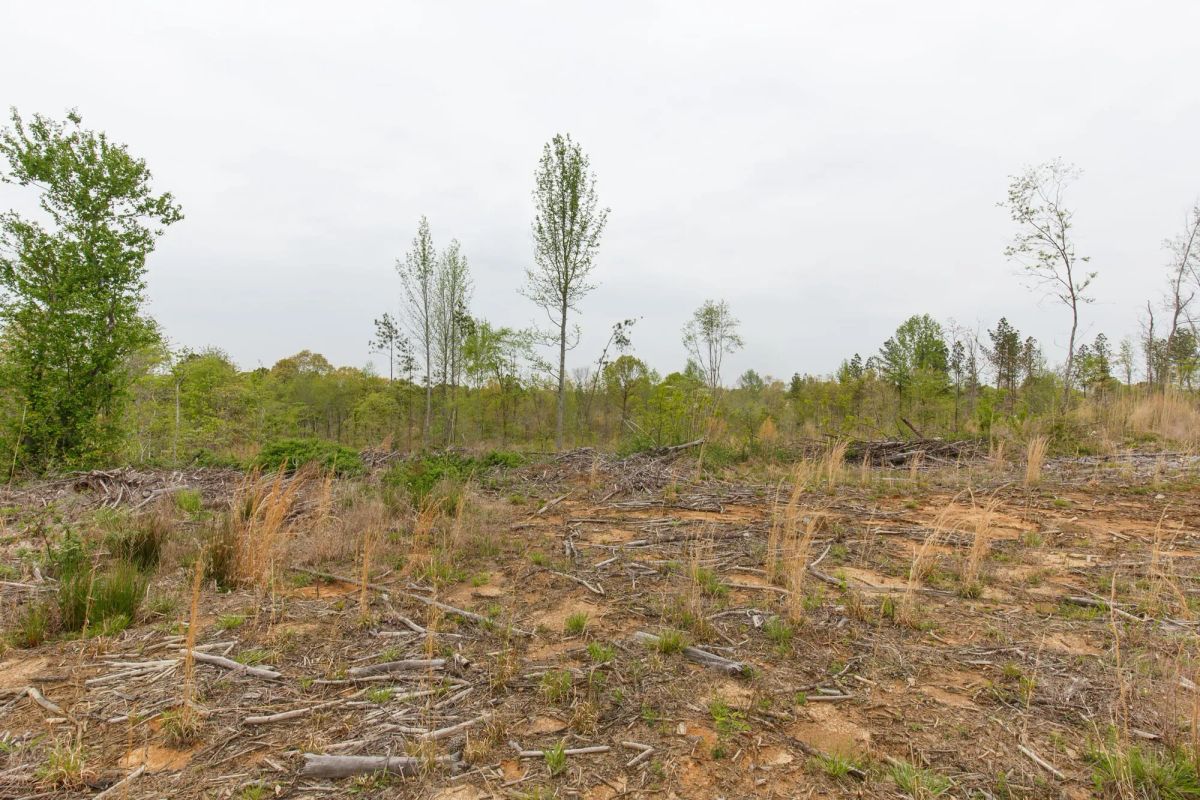 Decorative background for Twin Rivers Tract 25 image 12