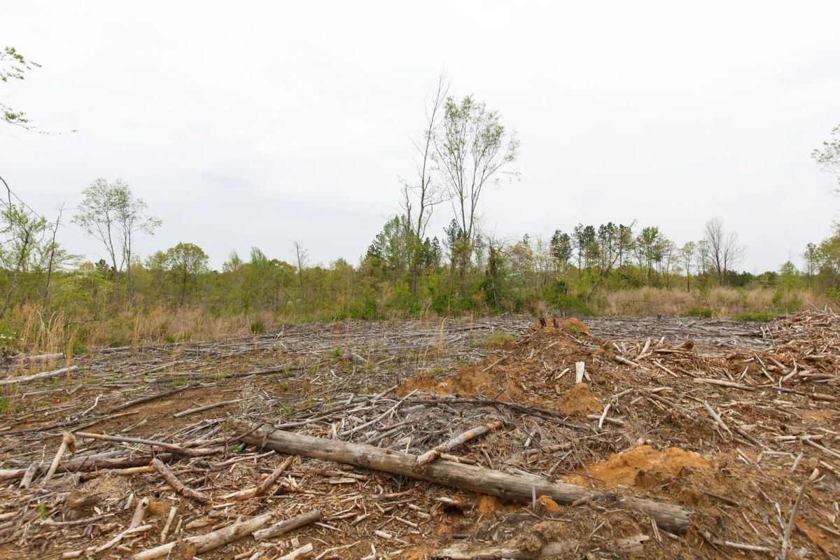 Decorative background for Twin Rivers Tract 25 image 13