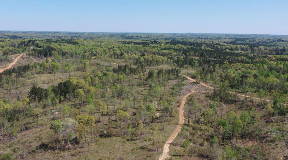 Decorative background for Twin Rivers Tract 25 image 14