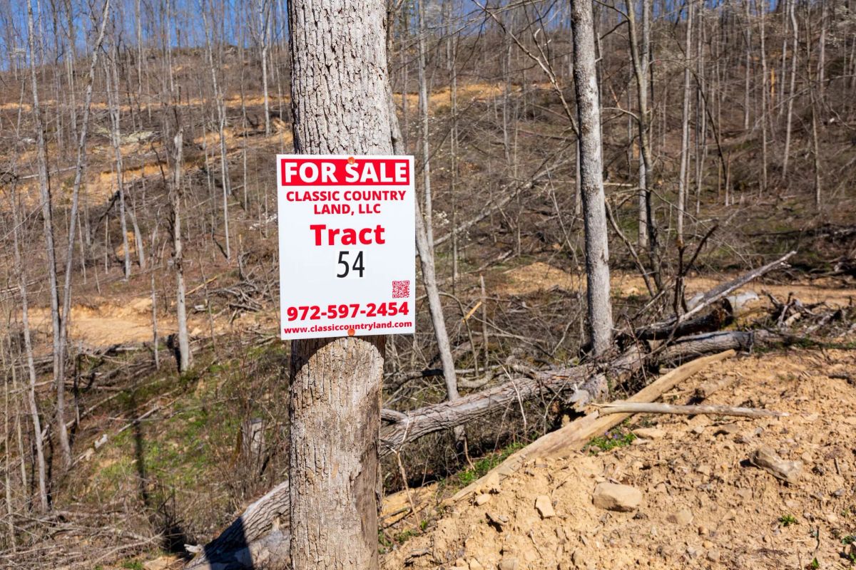 Creek Hollow Phase I Tract 54 - Main image