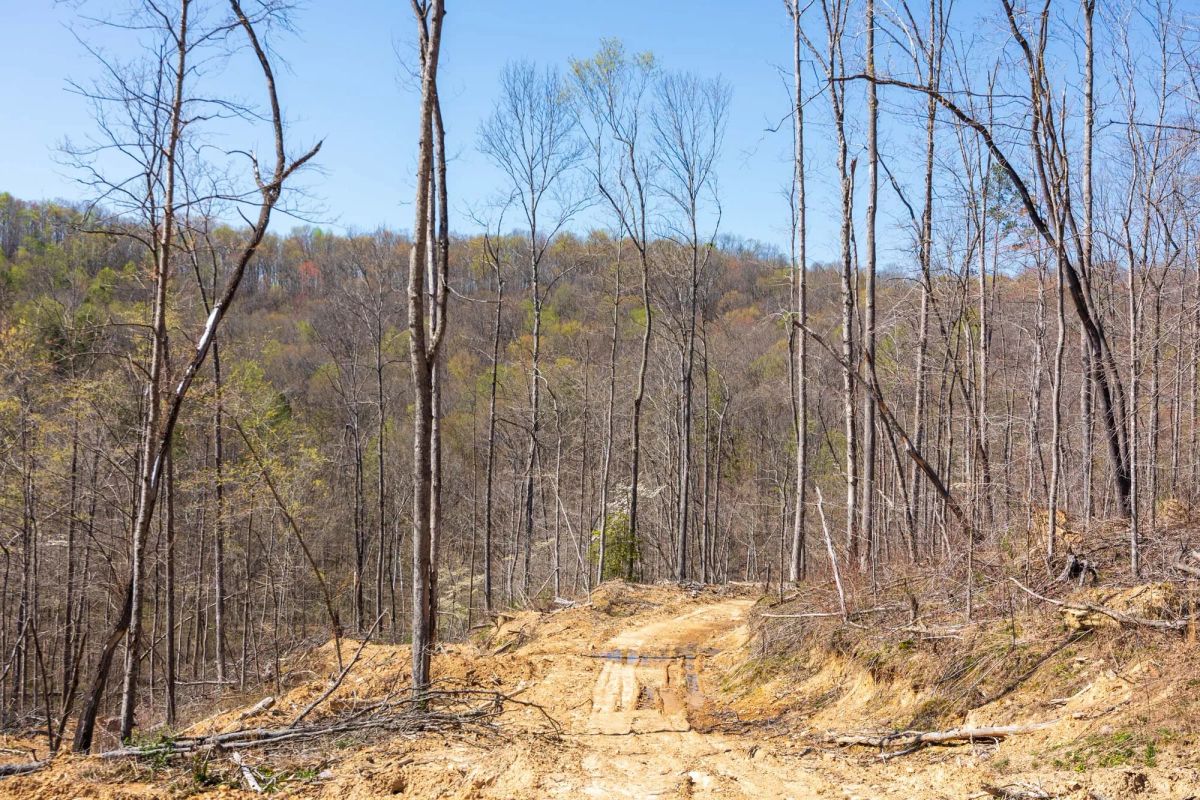 Creek Hollow Phase I Tract 54 - Image 2