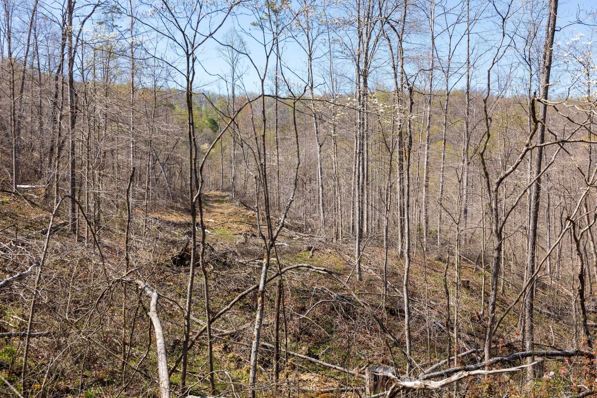 Creek Hollow Phase I Tract 54 in Rockcastle County, KY