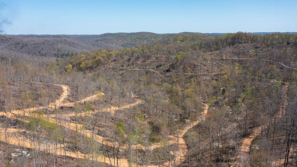 Decorative background for Creek Hollow Phase I Tract 54 image 8