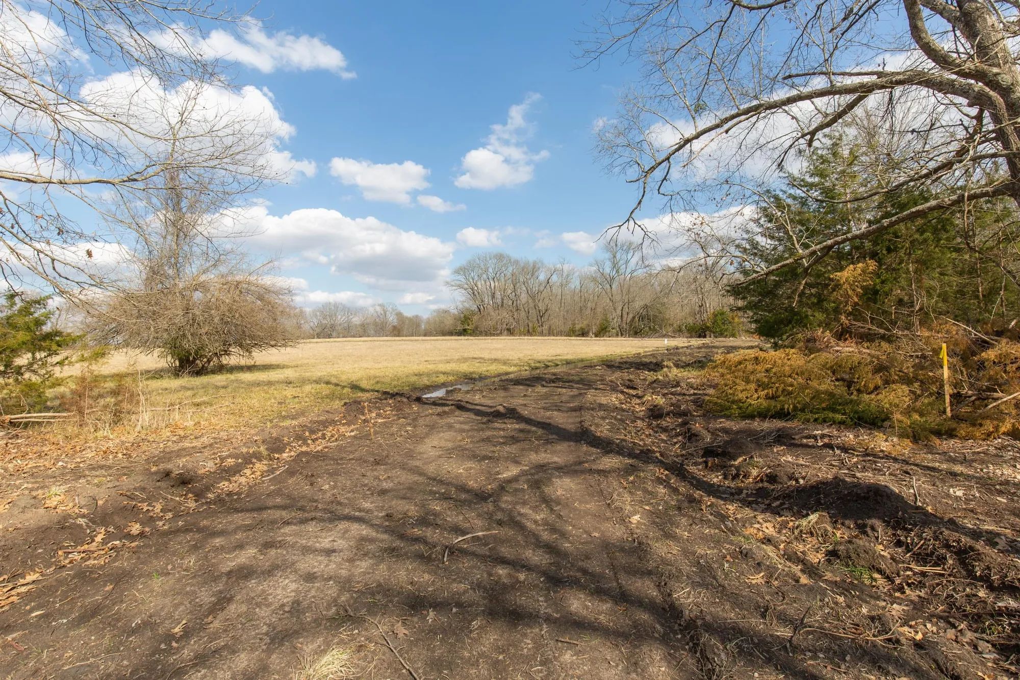 Wishing Star Ranch Tract 64 in Red River County, TX