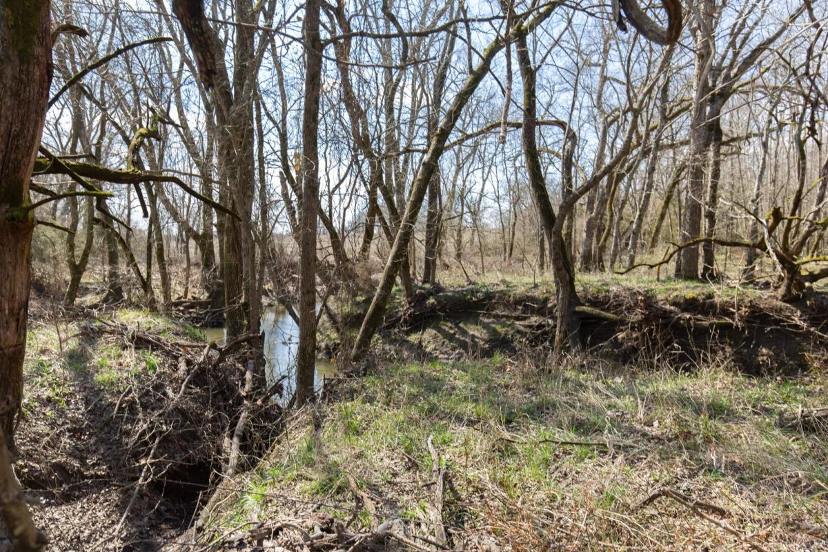 Wishing Star Ranch Tract 64 - Image 2