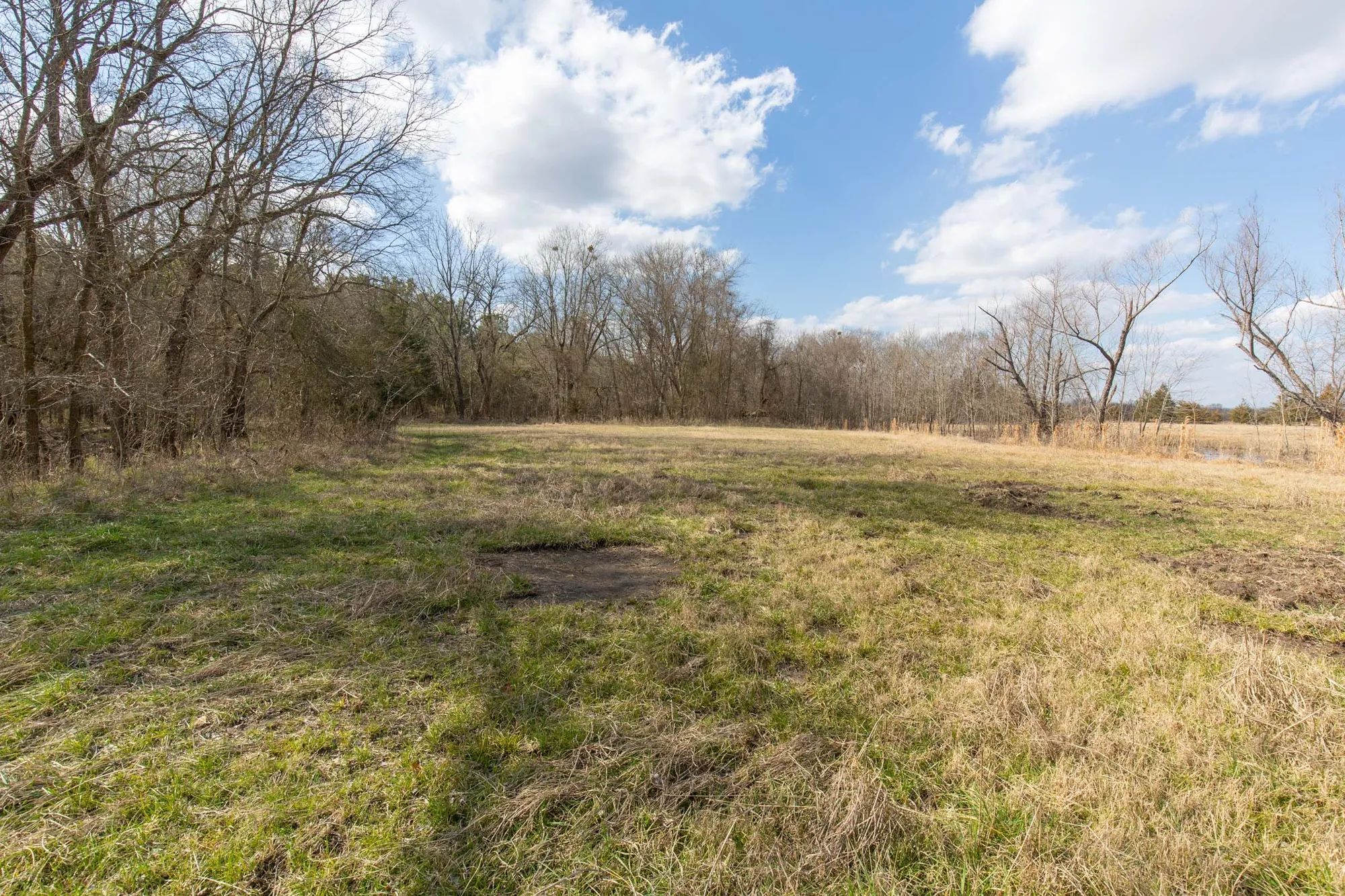 Wishing Star Ranch Tract 64 in Red River County, TX