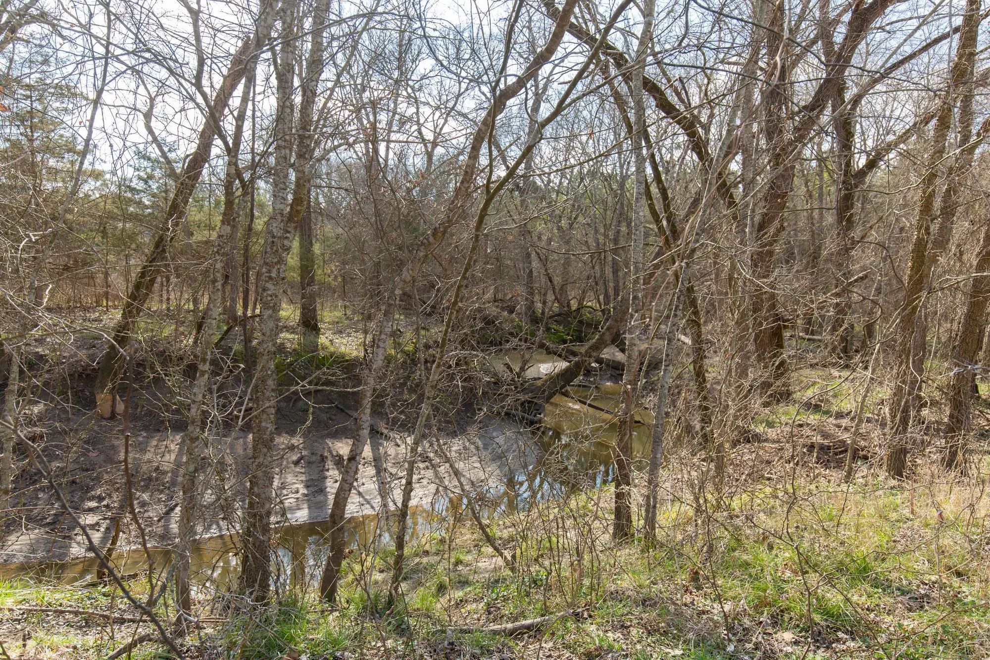 Wishing Star Ranch Tract 64 in Red River County, TX