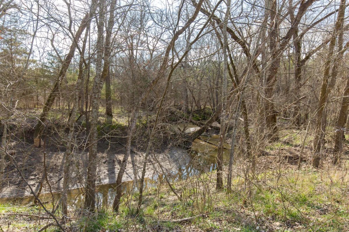 Wishing Star Ranch Tract 64 - Image 4