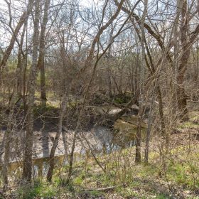 Wishing Star Ranch Tract 64 in Red River County, TX