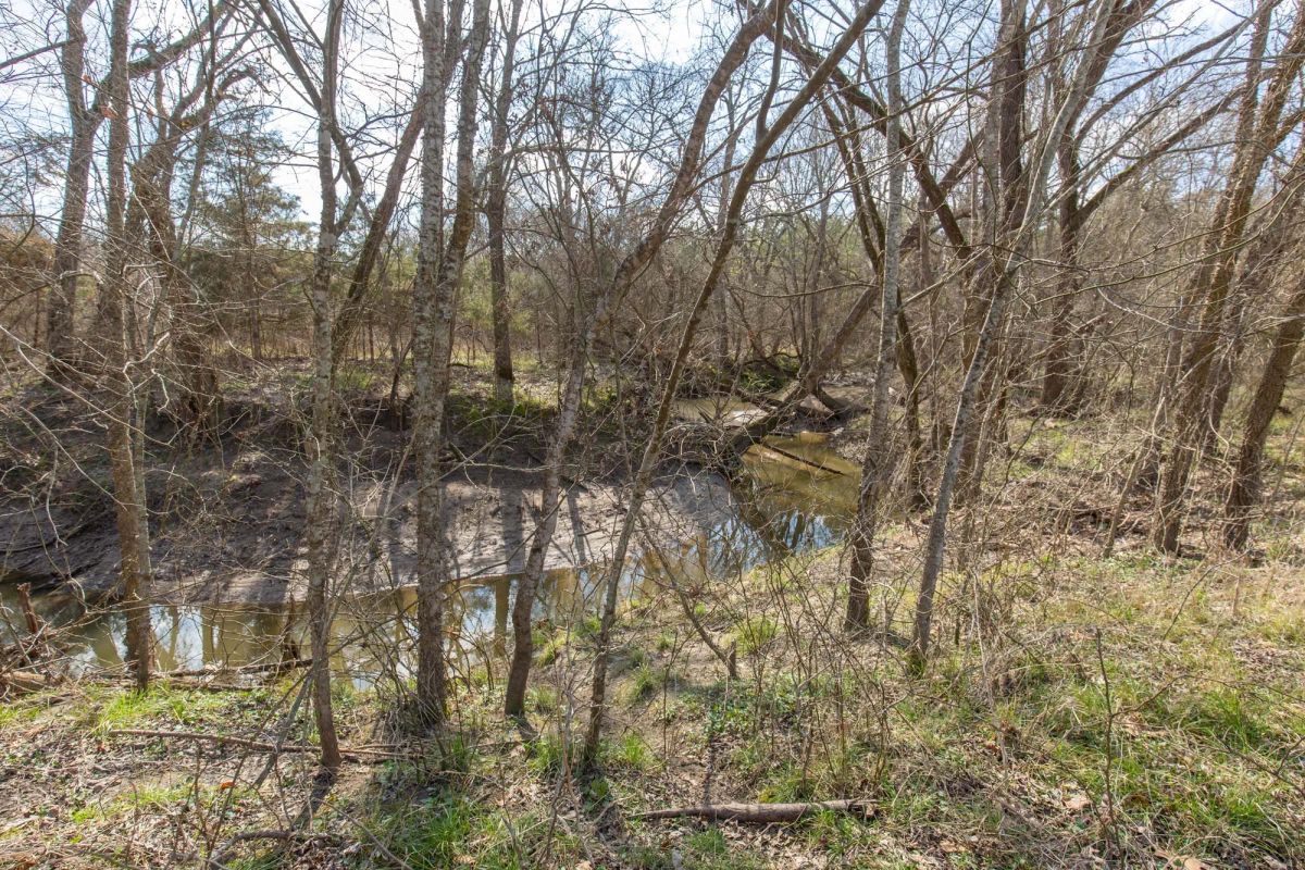 Decorative background for Wishing Star Ranch Tract 64 image 5