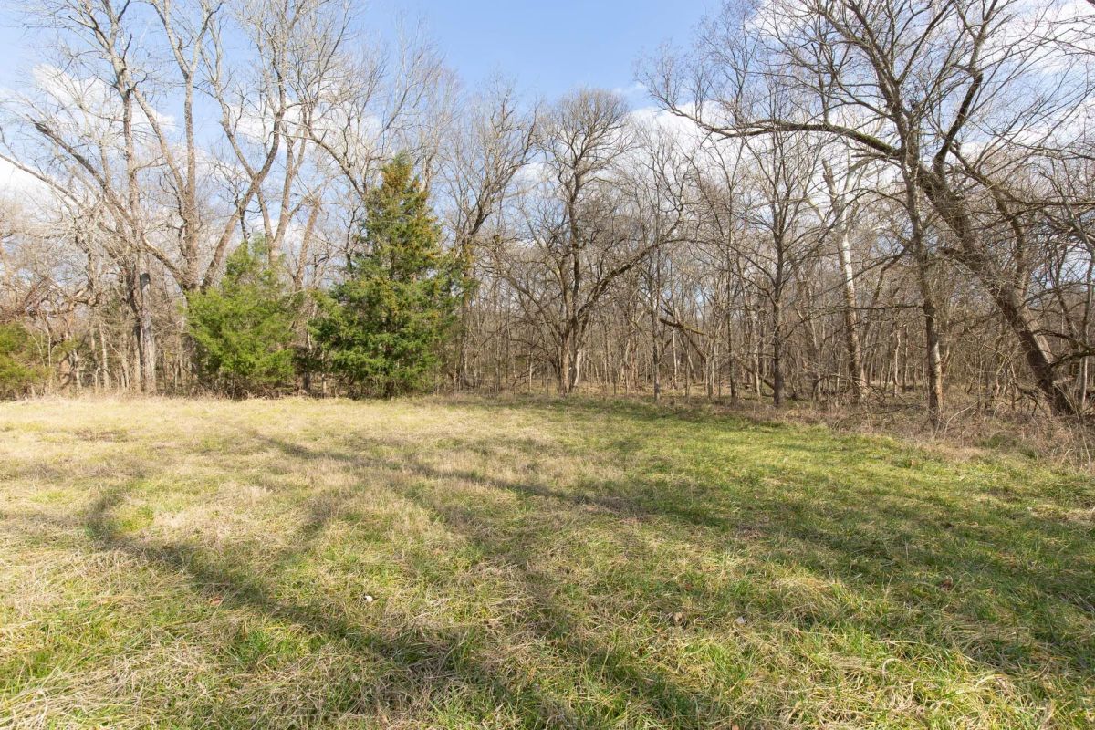 Decorative background for Wishing Star Ranch Tract 64 image 6