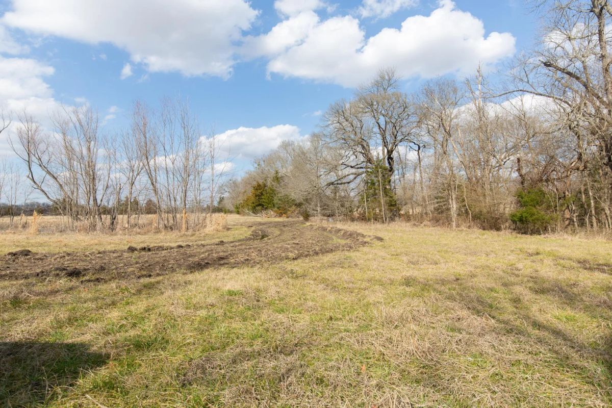 Decorative background for Wishing Star Ranch Tract 64 image 7