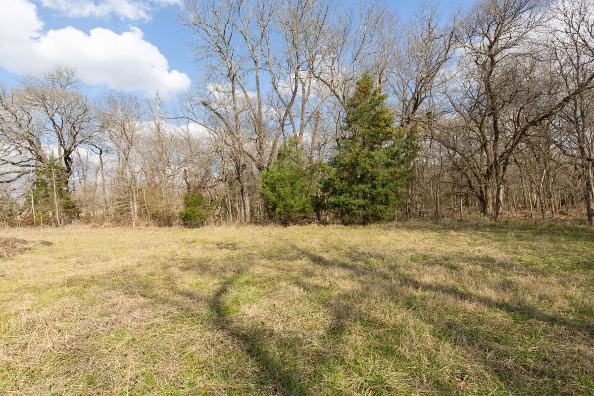 Decorative background for Wishing Star Ranch Tract 64 image 8