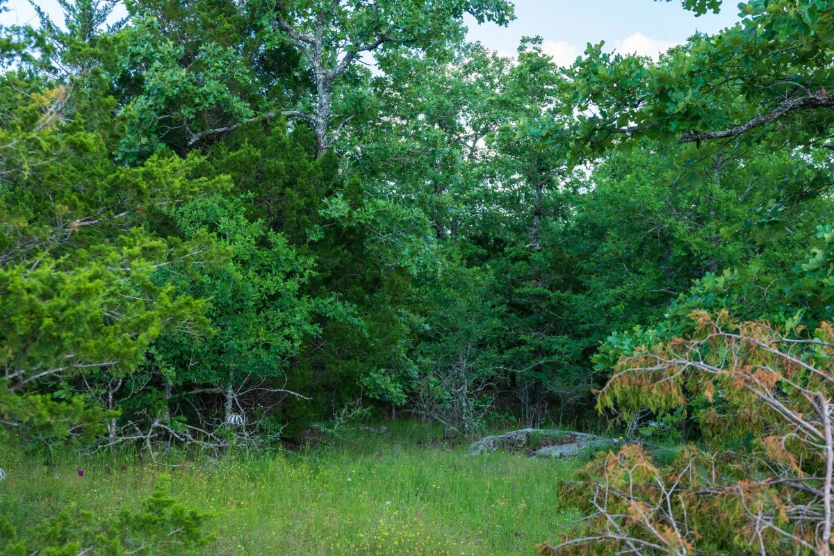 Decorative background for Falcon Crest Tract 21 image 9