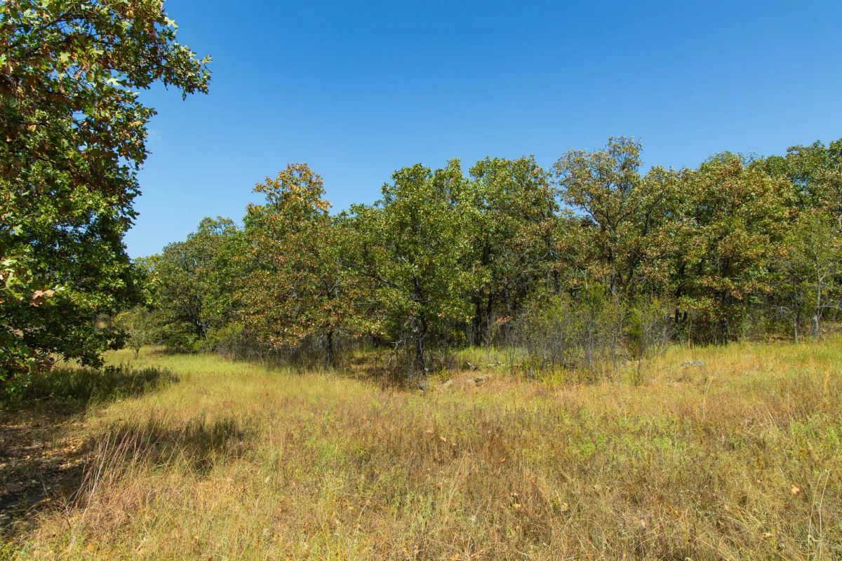Gracyn Meadows Tract 20 - Main image