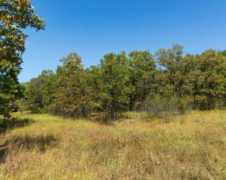 Gracyn Meadows Tract 20 in Okfuskee County, OK