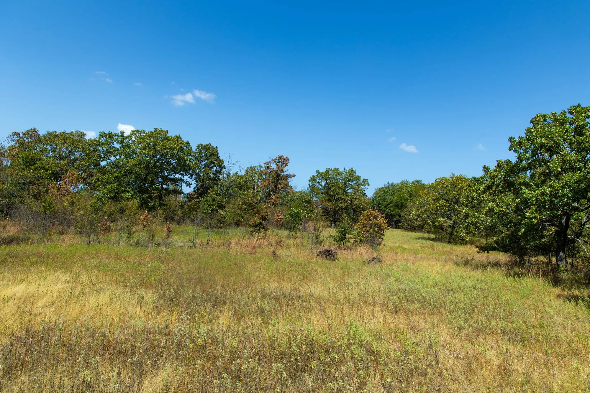 Gracyn Meadows Tract 20 in Okfuskee County, OK