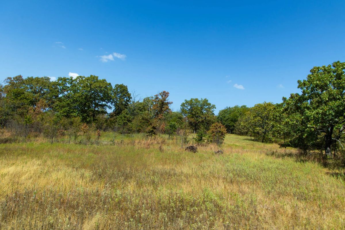 Gracyn Meadows Tract 20 - Image 3