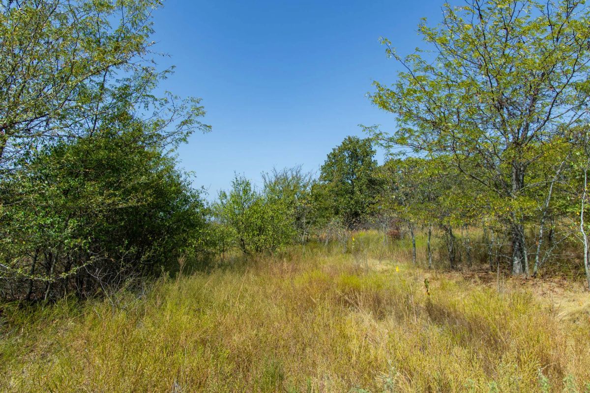 Gracyn Meadows Tract 20 - Image 4