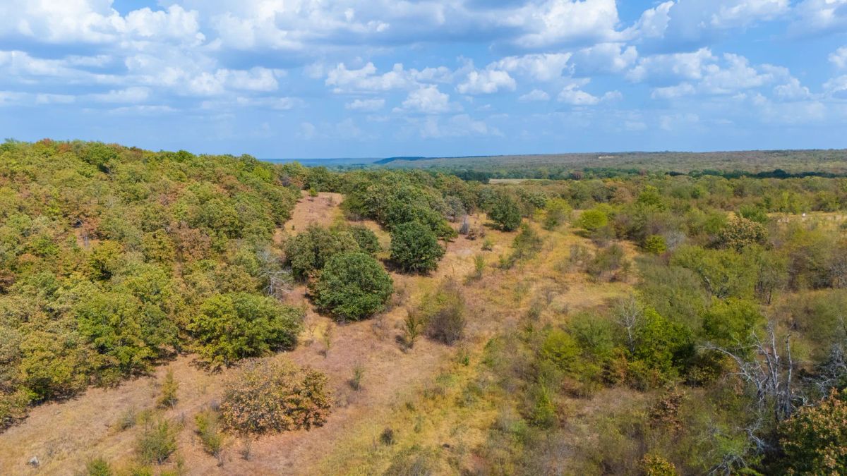 Decorative background for Gracyn Meadows Tract 20 image 5