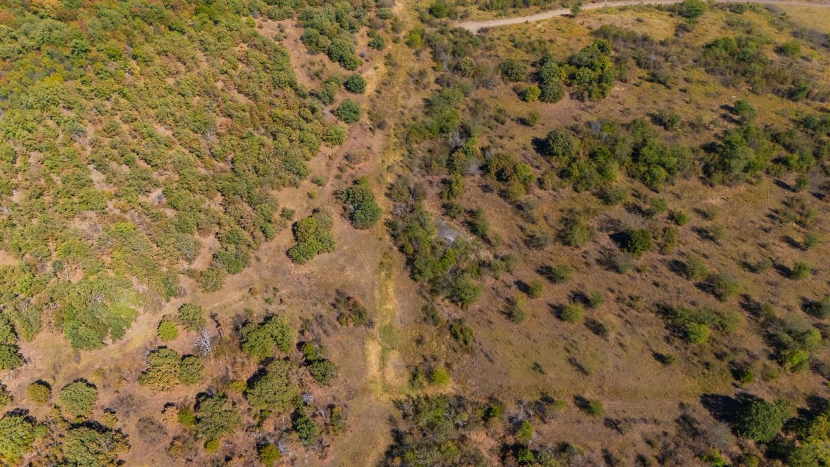 Decorative background for Gracyn Meadows Tract 20 image 6