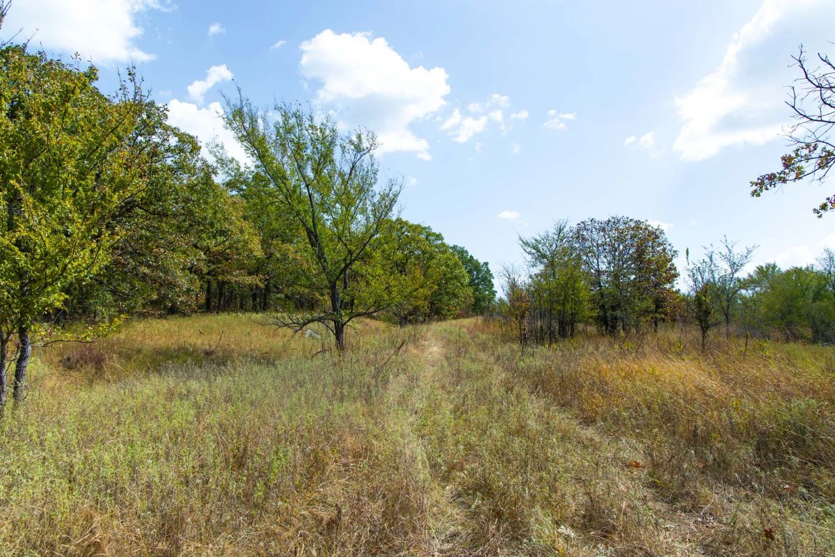 Decorative background for Gracyn Meadows Tract 20 image 9