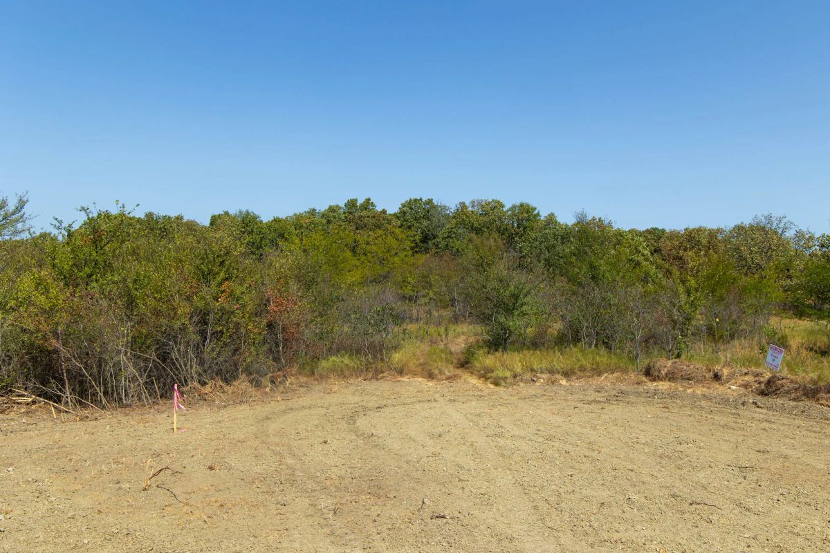 Decorative background for Gracyn Meadows Tract 20 image 10