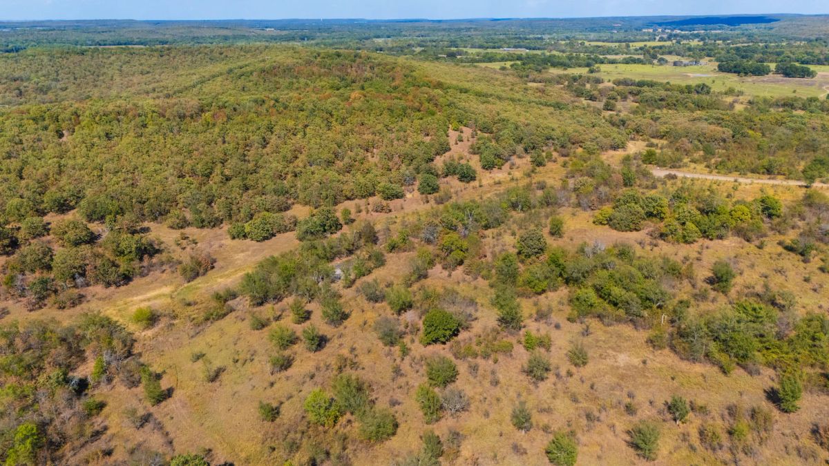 Decorative background for Gracyn Meadows Tract 20 image 14