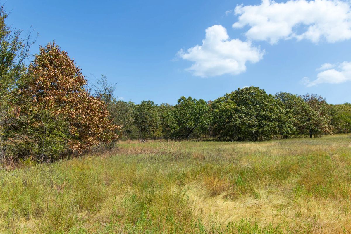 Decorative background for Gracyn Meadows Tract 20 image 16