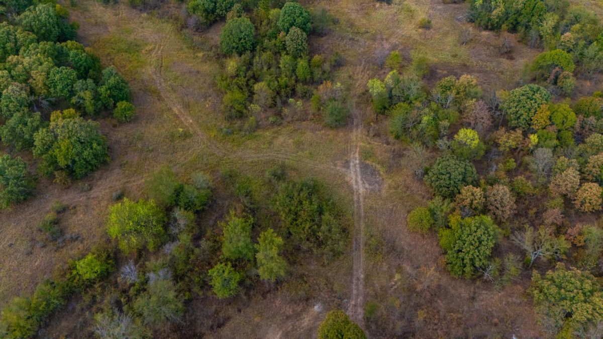 Decorative background for Gracyn Meadows Tract 20 image 17