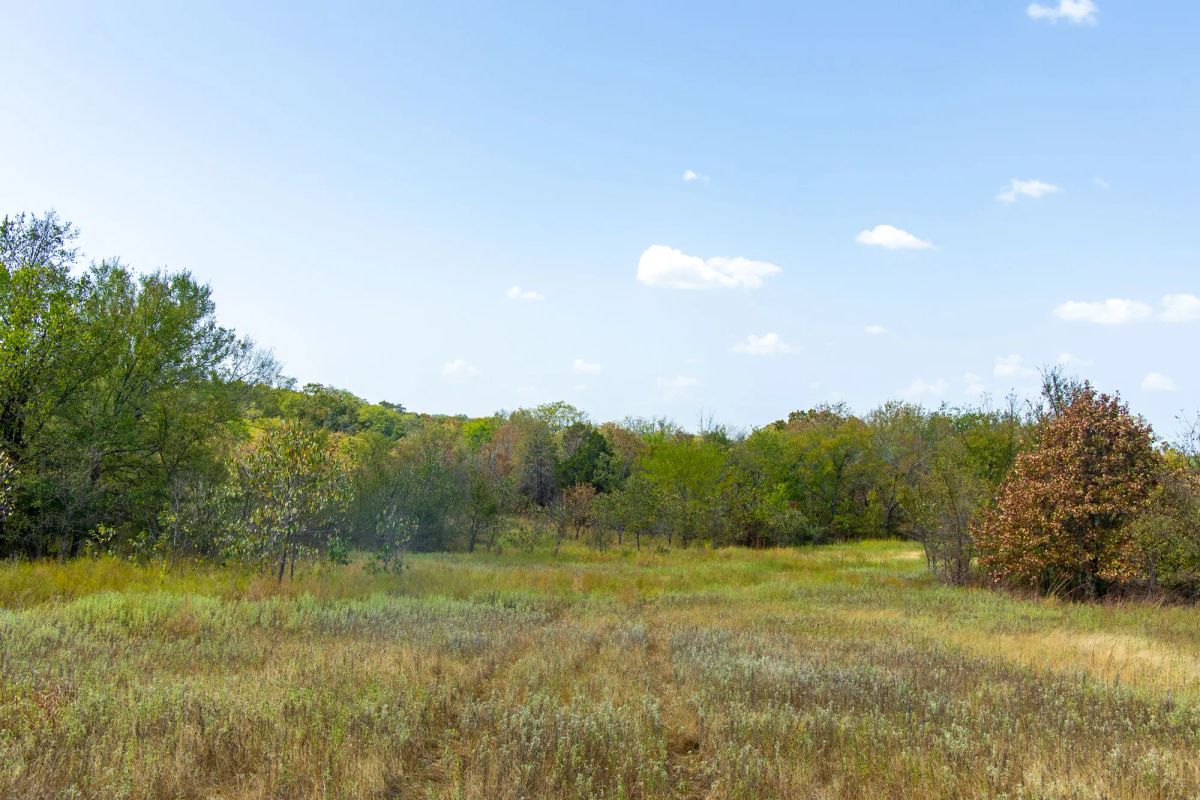 Decorative background for Gracyn Meadows Tract 20 image 18