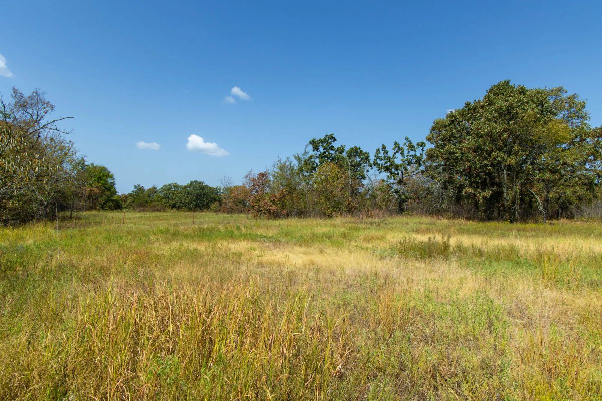 Decorative background for Gracyn Meadows Tract 20 image 19