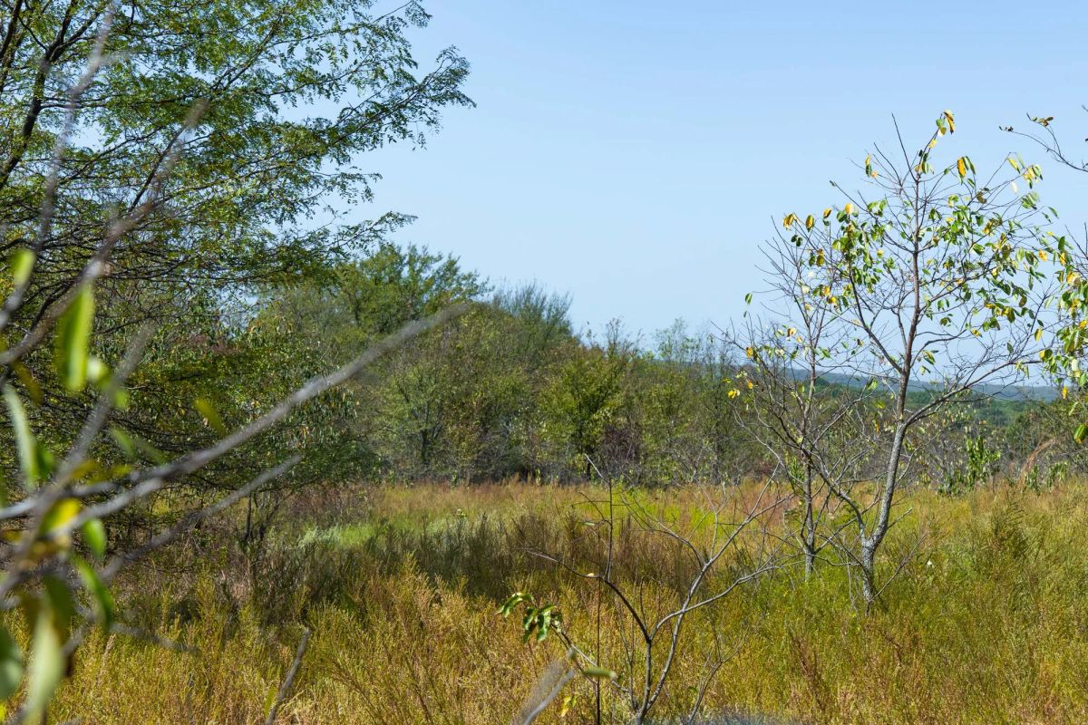 Decorative background for Gracyn Meadows Tract 20 image 20