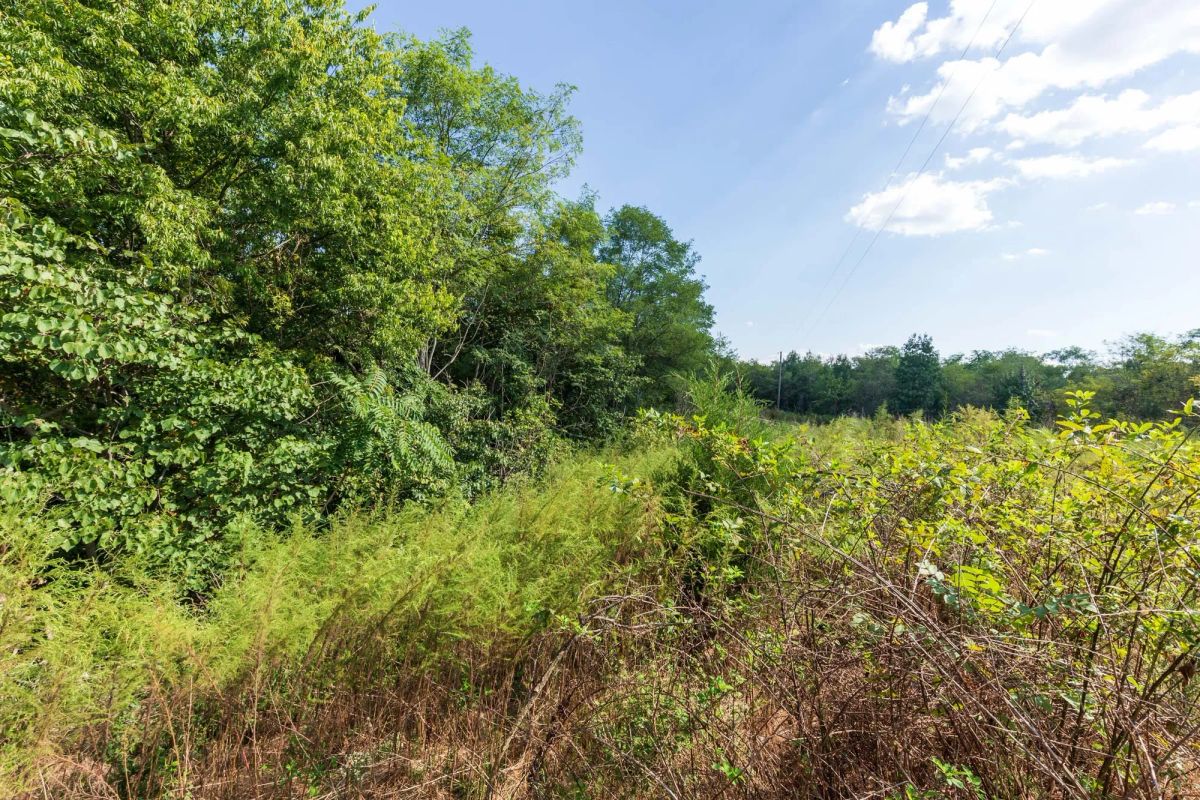 Decorative background for Redemption Ridge Tract 6 image 6