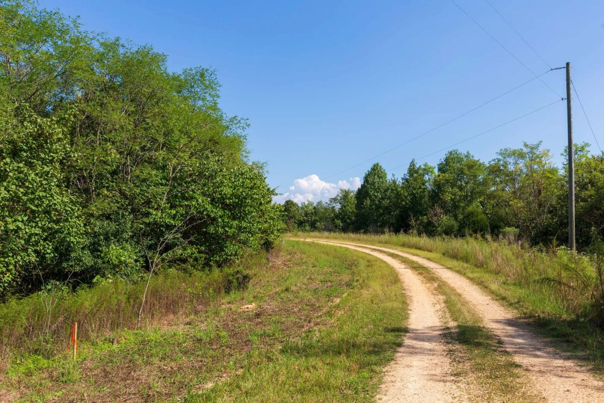 Decorative background for Redemption Ridge Tract 6 image 7