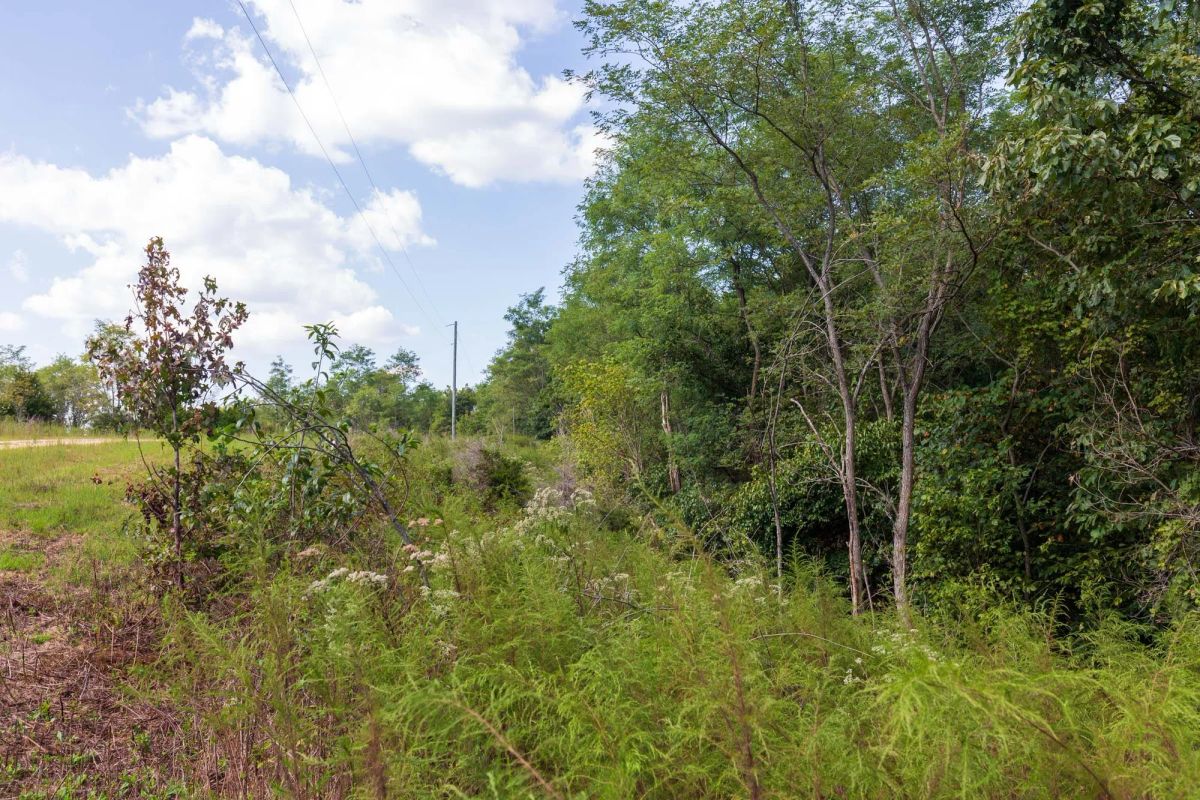 Decorative background for Redemption Ridge Tract 6 image 9