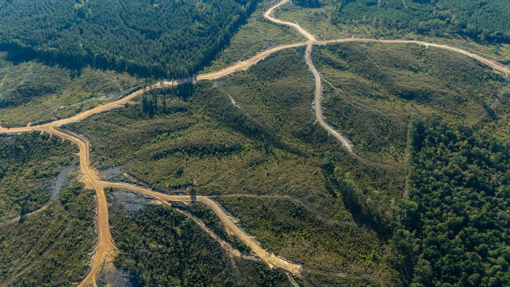 Meyer’s Ridge Tract 22 in Attala County, MS