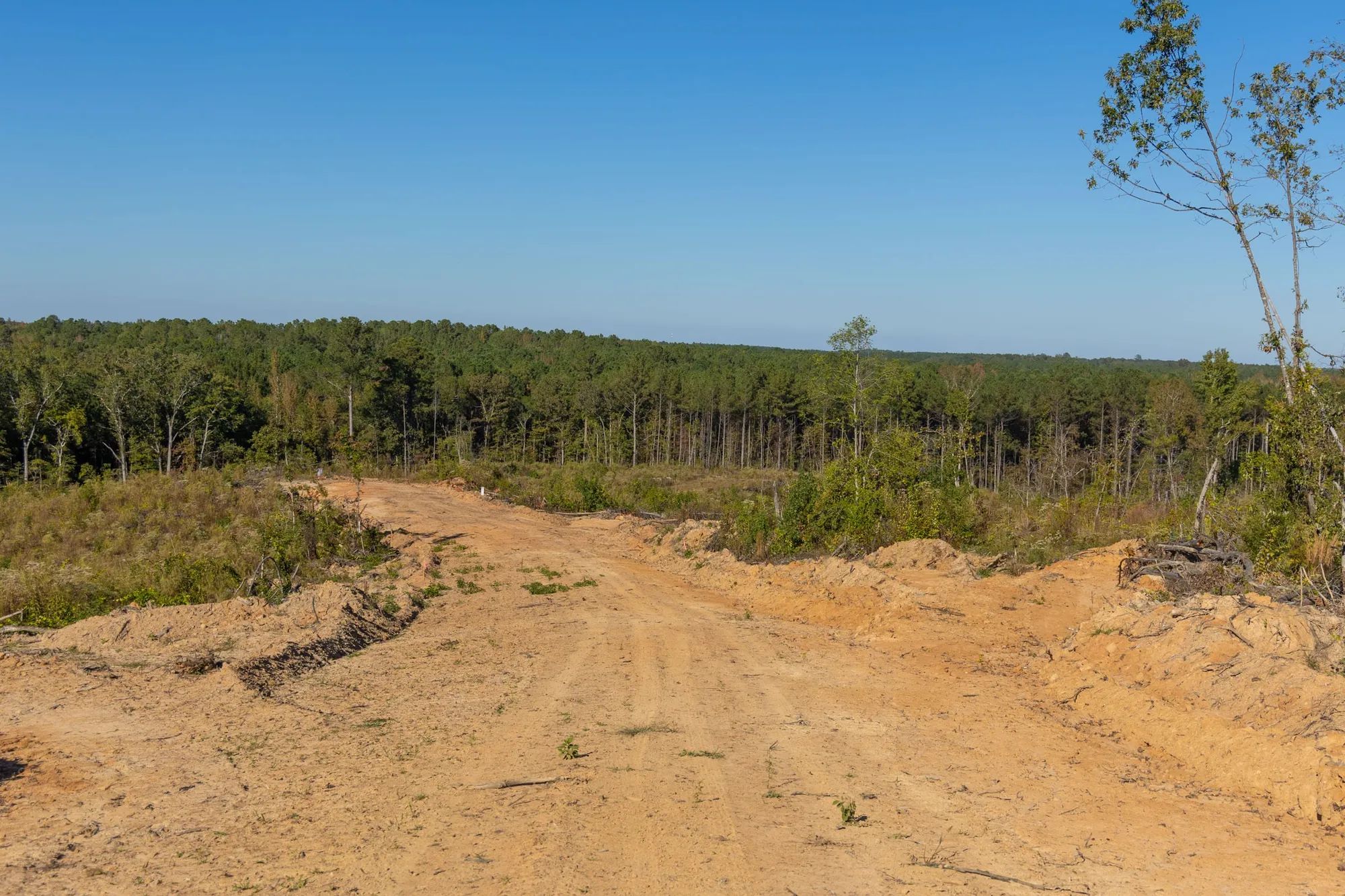 Meyer’s Ridge Tract 22 in Attala County, MS