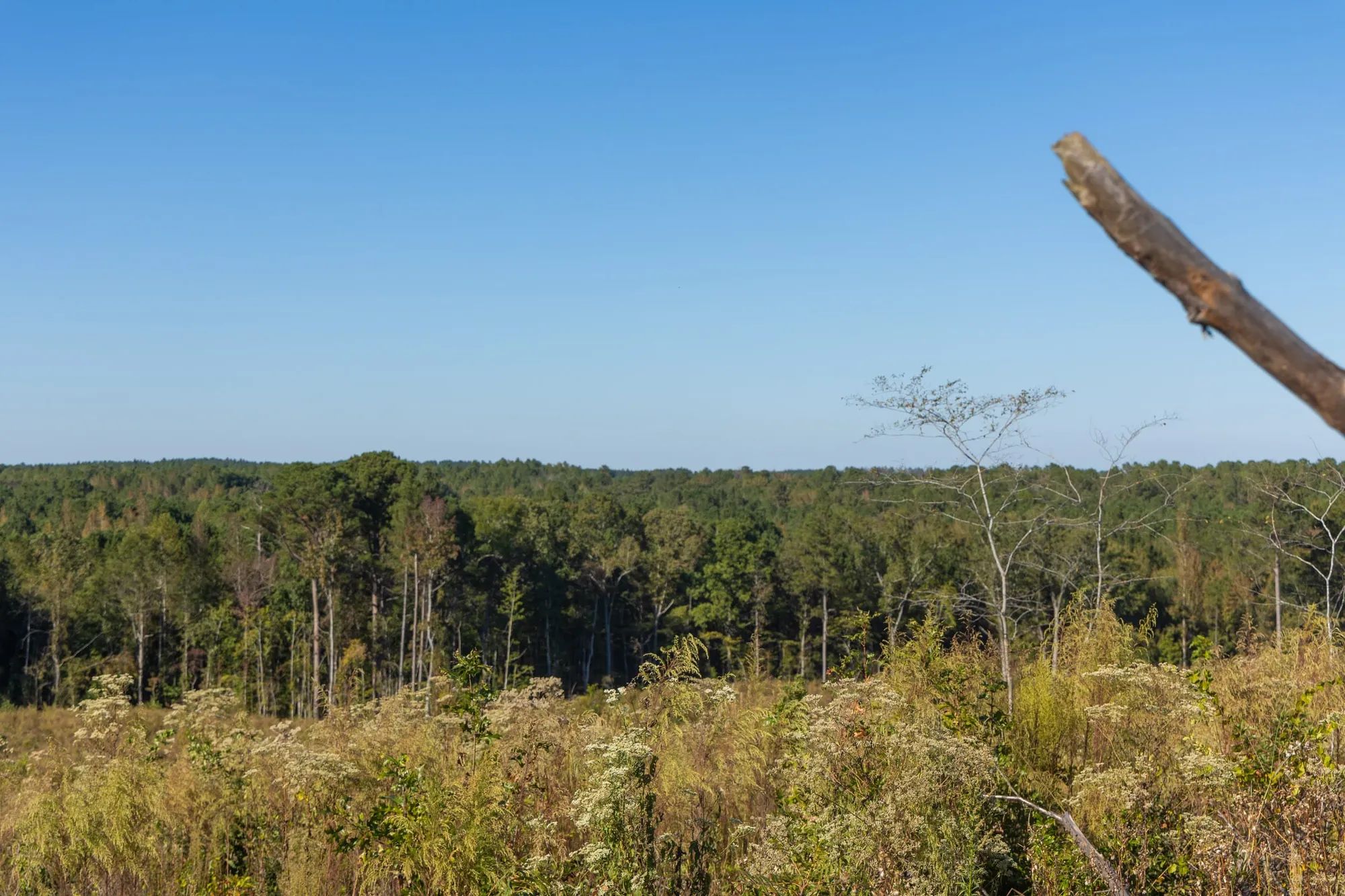 Meyer’s Ridge Tract 22 in Attala County, MS