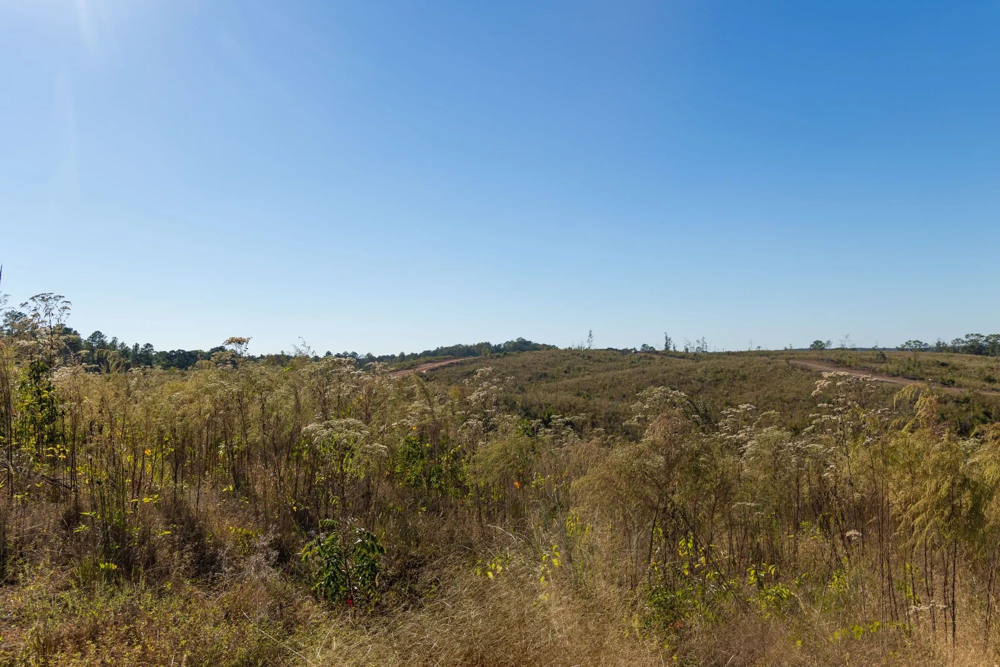 Meyer’s Ridge Tract 22 in Attala County, MS