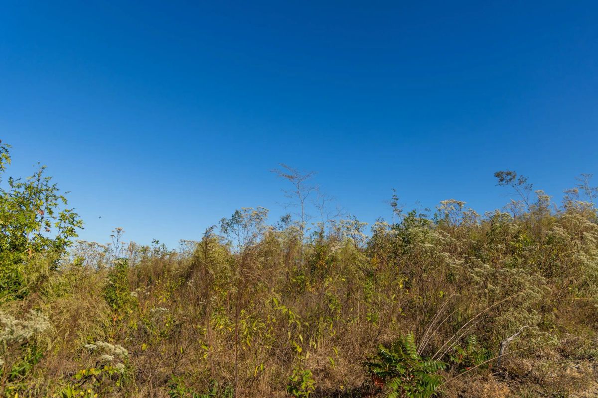 Decorative background for Meyer’s Ridge Tract 22 image 5