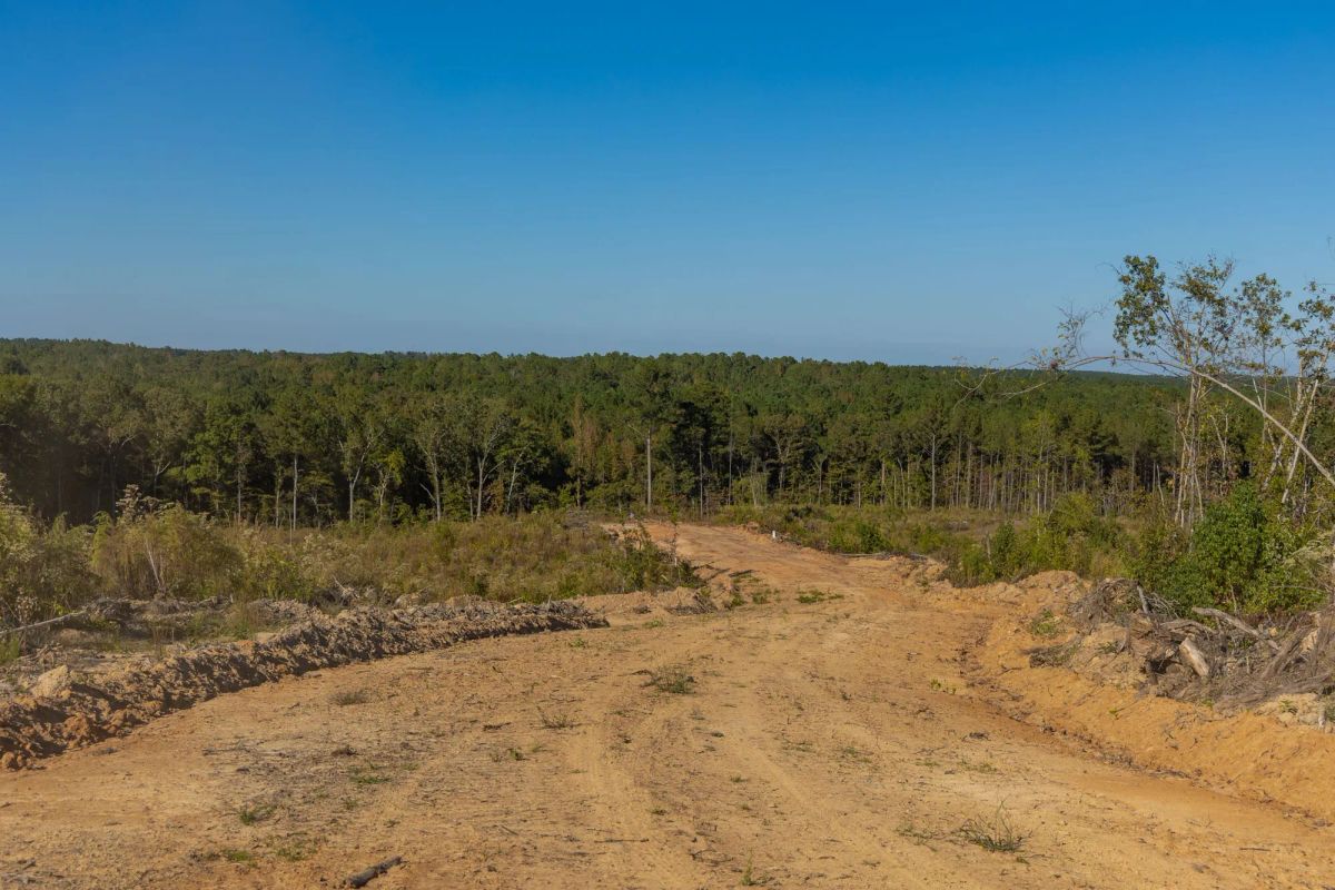 Decorative background for Meyer’s Ridge Tract 22 image 7