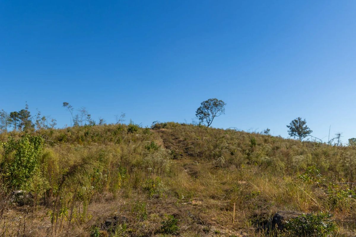 Decorative background for Meyer’s Ridge Tract 22 image 8