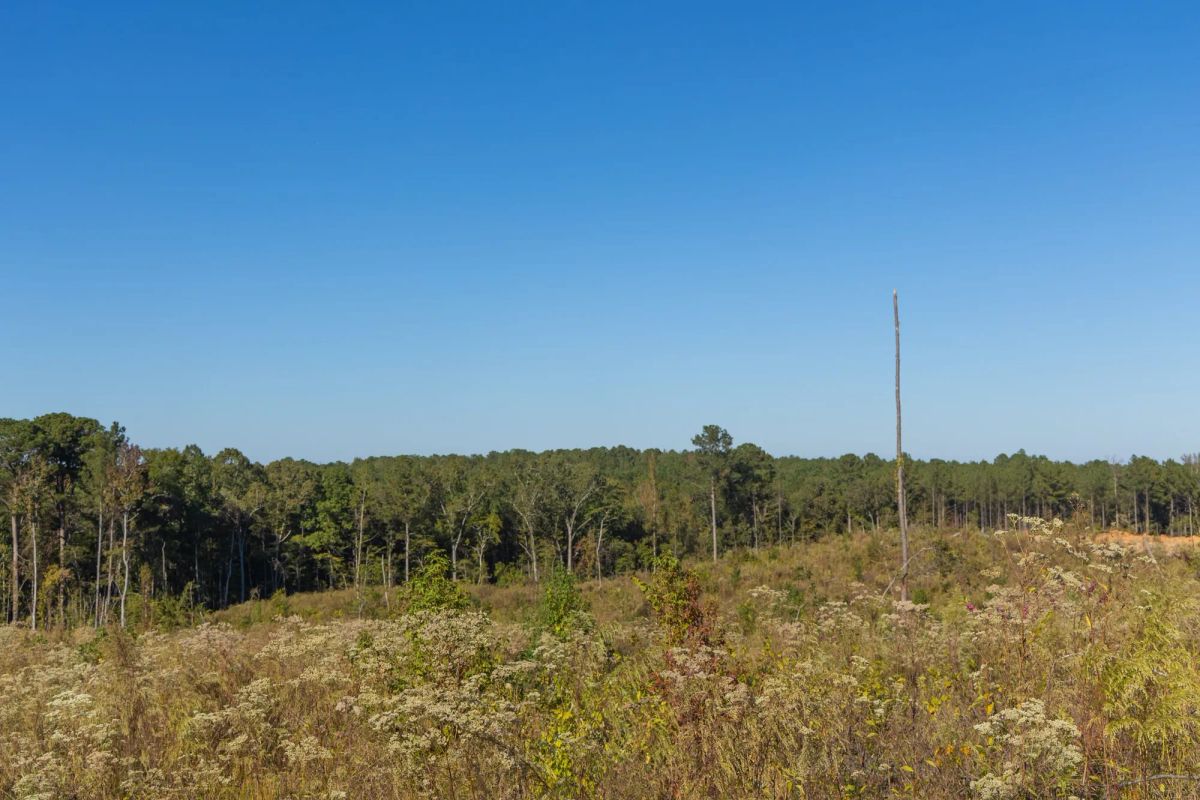 Decorative background for Meyer’s Ridge Tract 22 image 12