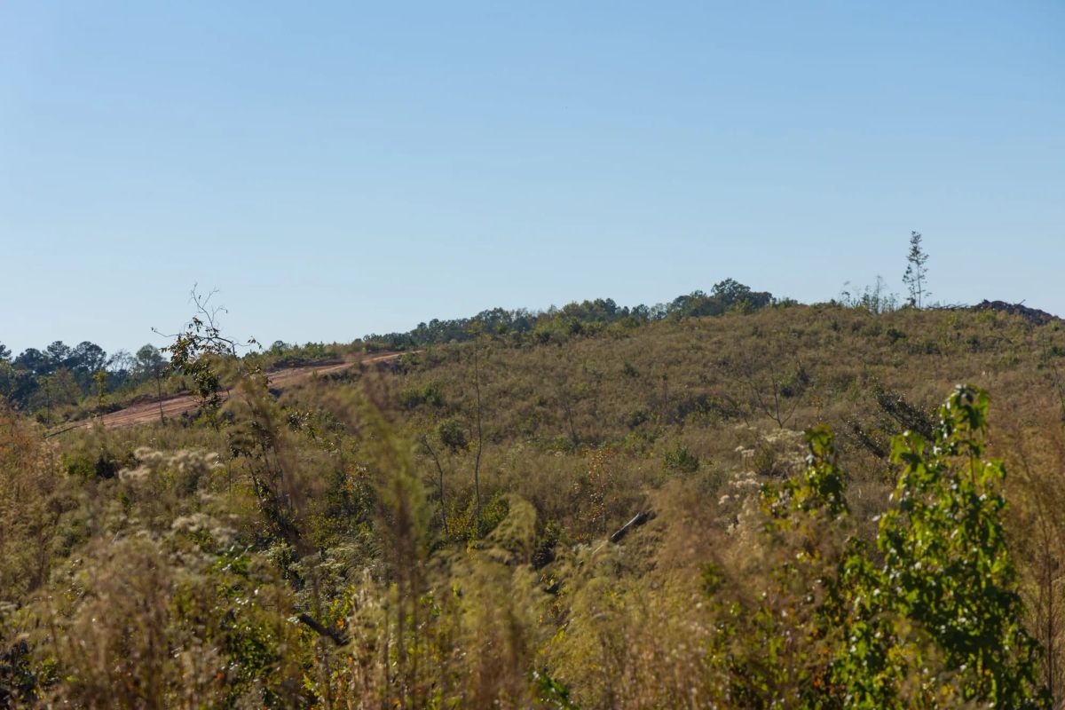 Decorative background for Meyer’s Ridge Tract 22 image 13