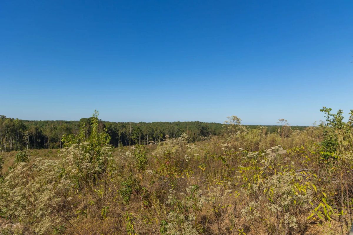 Decorative background for Meyer’s Ridge Tract 22 image 14